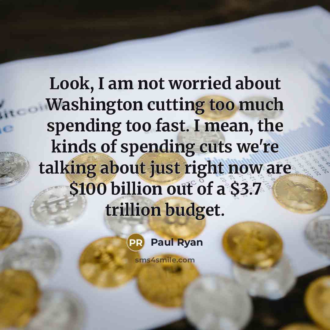 “Look, I am not worried about Washington cutting too much…” quote by Paul Ryan
