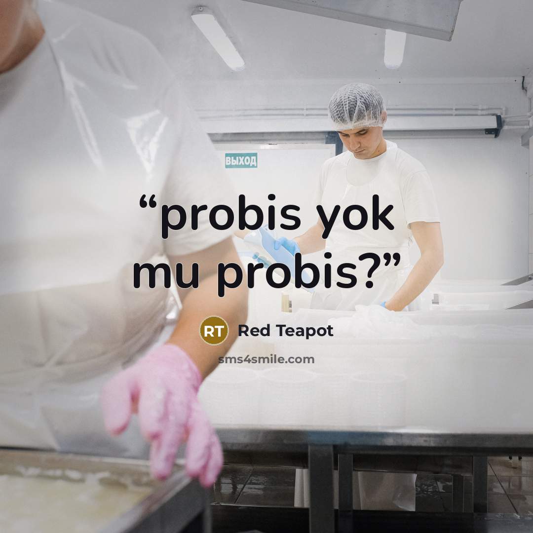 “probis yok mu probis?” quote by Red Teapot