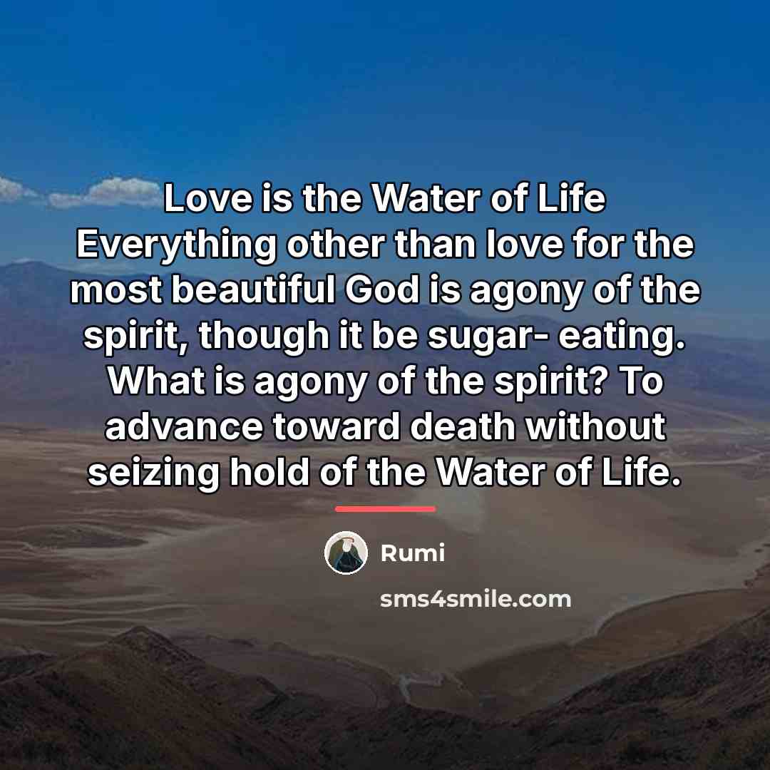 “Love is the Water of Life Everything other than love…” quote by Rumi
