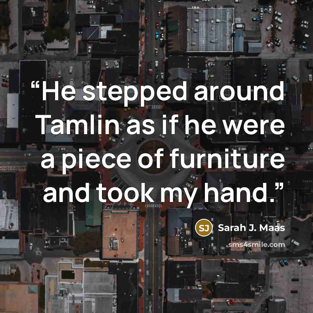 “He stepped around Tamlin as if he were a piece of furniture and took my hand.” quote by Sarah J. Maas