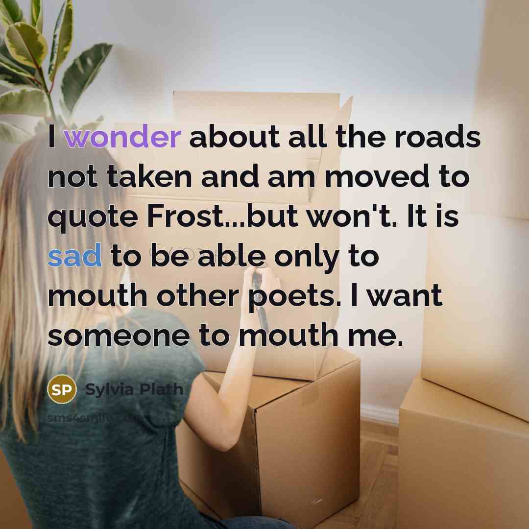 “I wonder about all the roads not taken and am…” quote by Sylvia Plath
