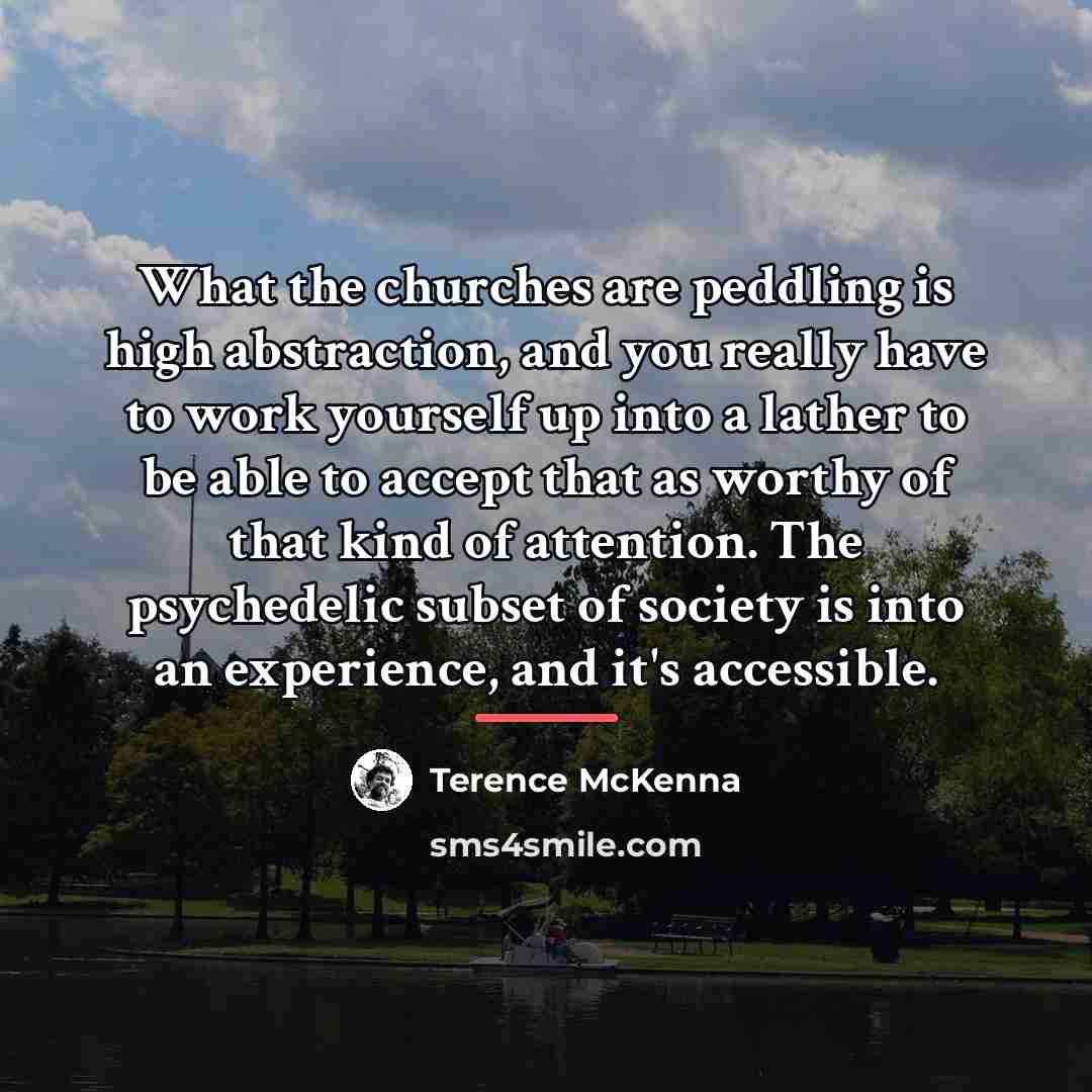 “What the churches are peddling is high abstraction, and you…” quote by Terence McKenna