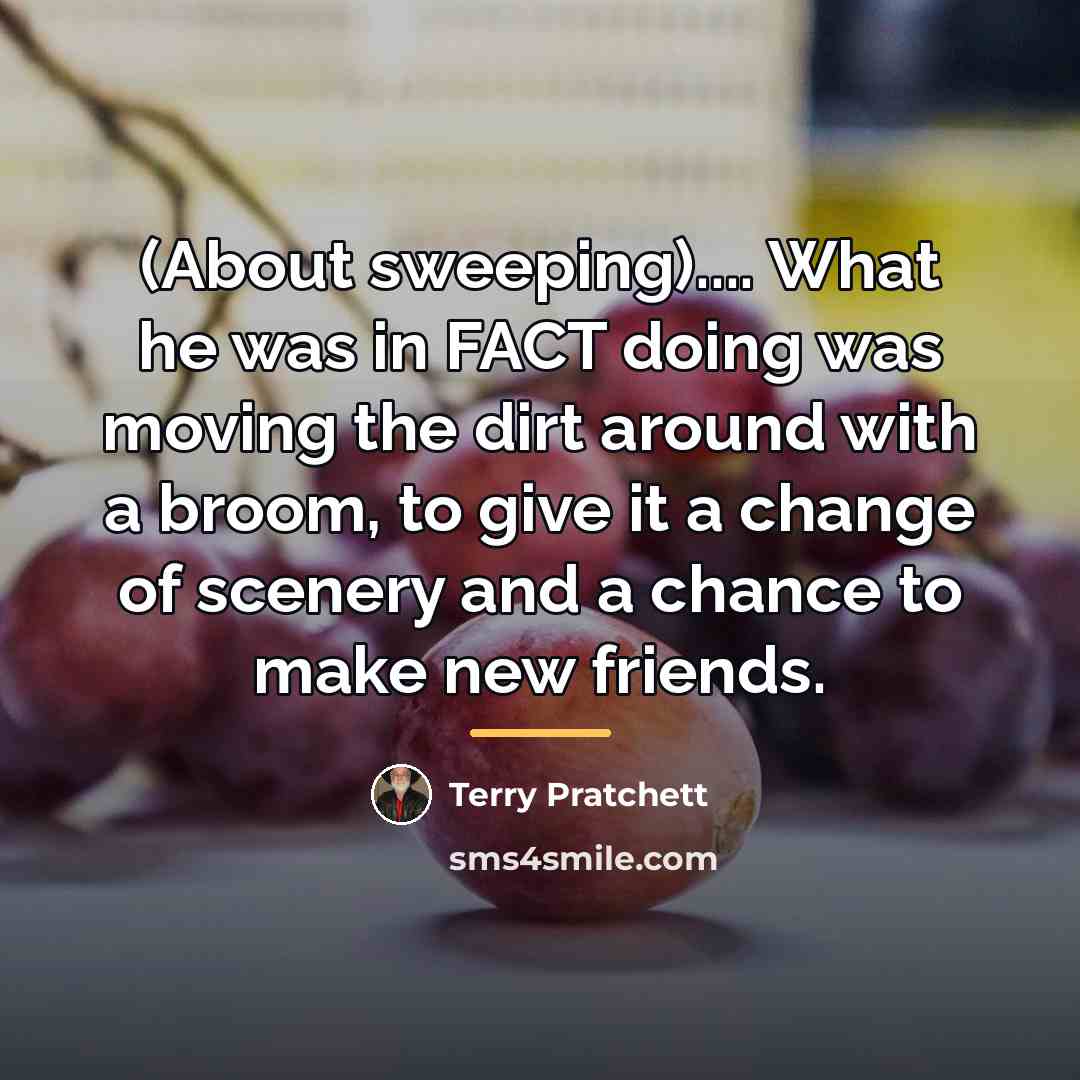 “(About sweeping).... What he was in FACT doing was moving…” quote by Terry Pratchett