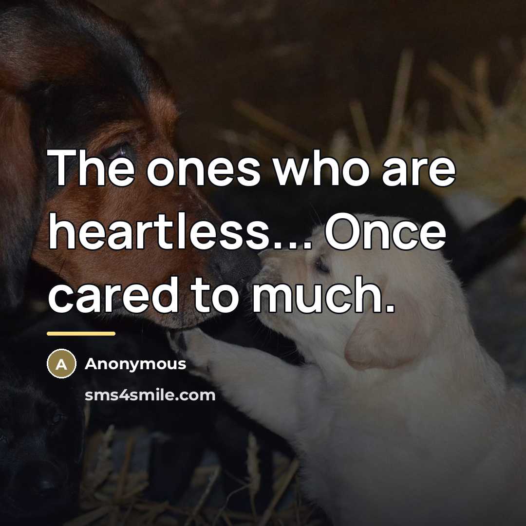 “The ones who are heartless... Once cared to much.…” quote by Anonymous