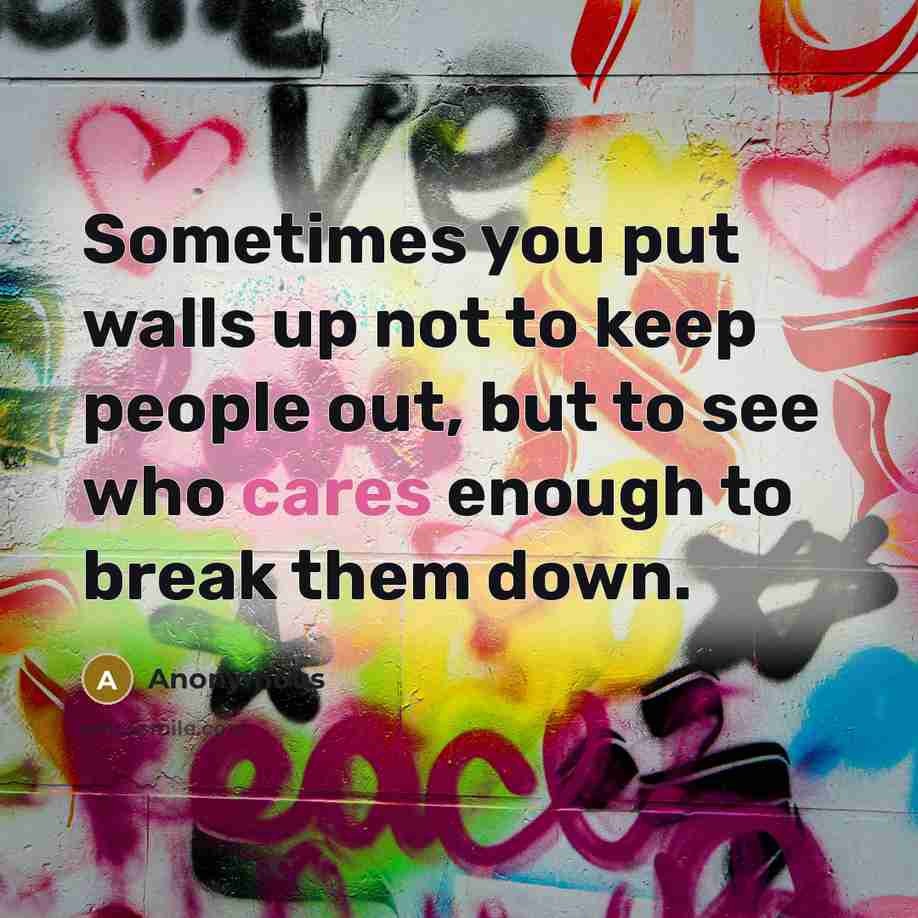 “Sometimes you put walls up not to keep people out, but to see who cares enough to break them down.” quote by Anonymous