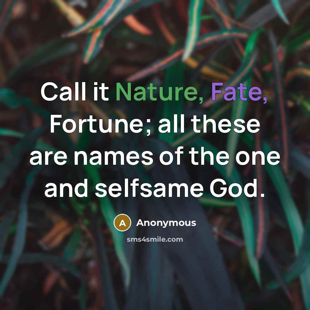 “Call it Nature, Fate, Fortune; all these are names of…” quote by Anonymous