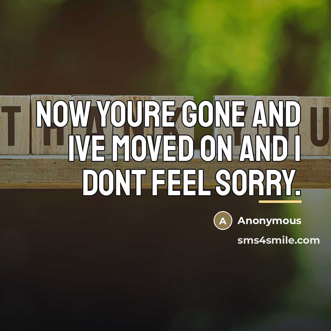“Now youre gone and Ive moved on and I dont…” quote by Anonymous