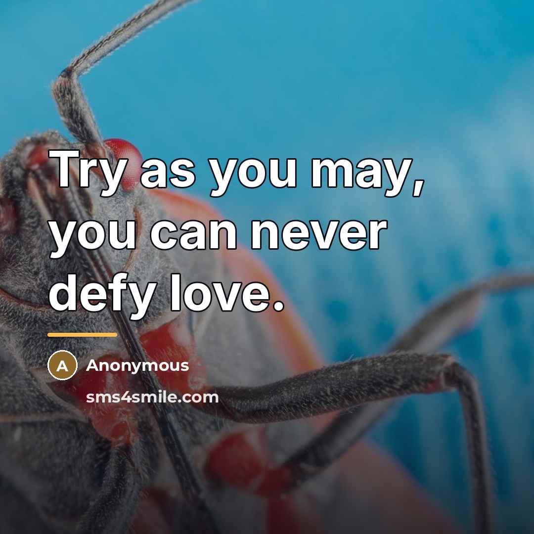 “Try as you may, you can never defy love.…” quote by Anonymous
