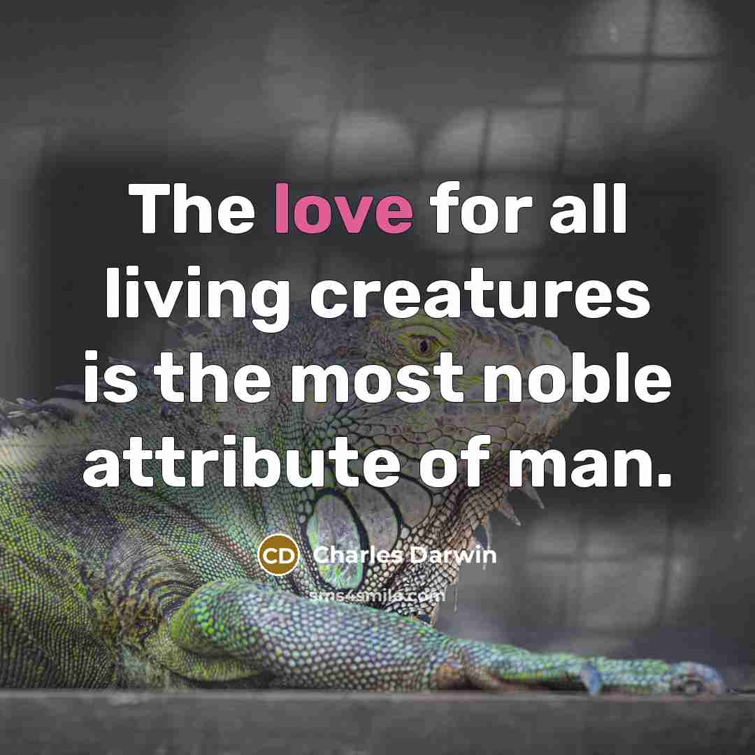“The love for all living creatures is the most noble…” quote by Charles Darwin
