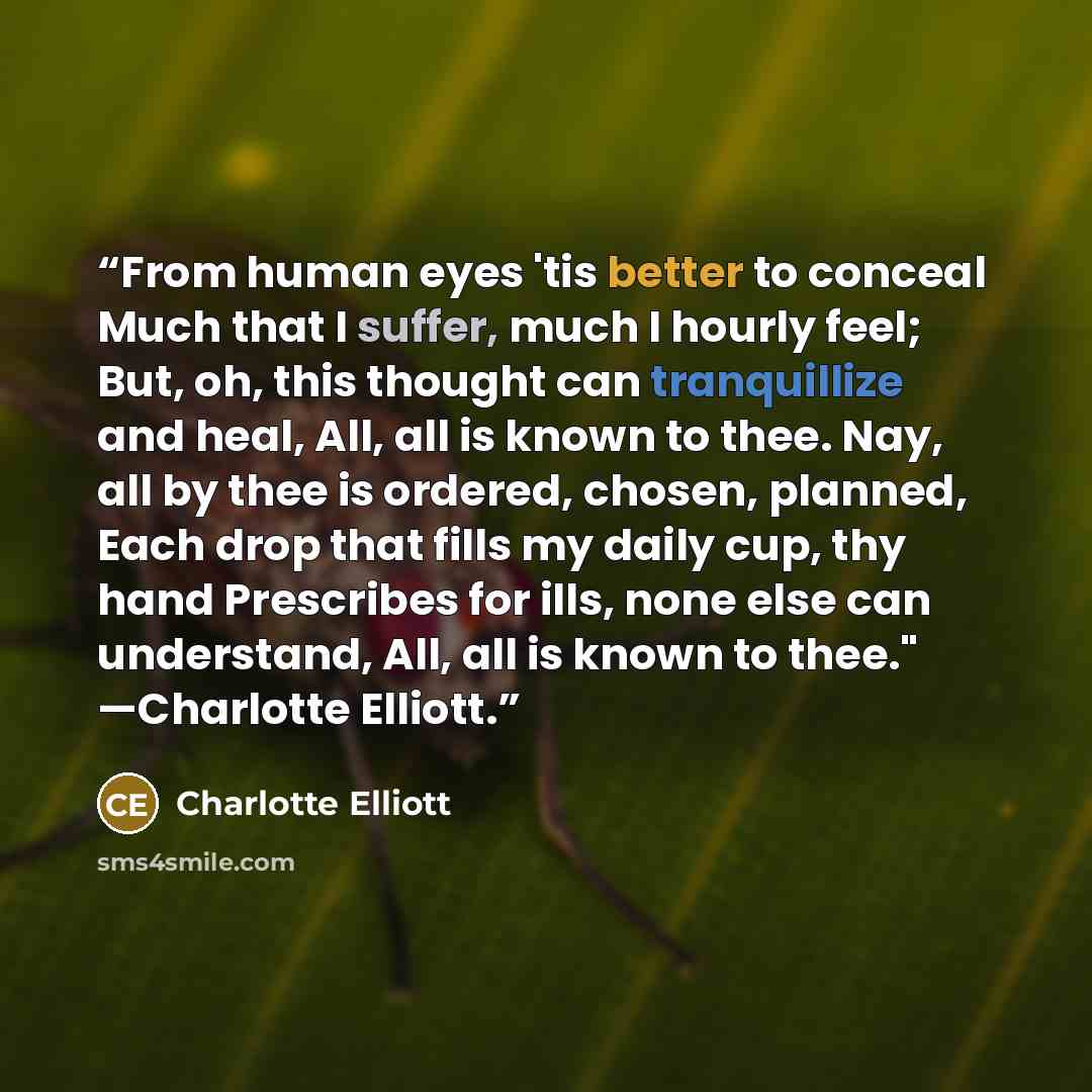 “From human eyes 'tis better to conceal Much that I suffer, much I hourly feel; But, oh, this thought can tranquillize and heal, All, all is known to thee. Nay, all by thee is ordered, chosen, planned, Each drop that fills my daily cup, thy hand Prescribes for ills, none else can understand, All…” quote by Charlotte Elliott