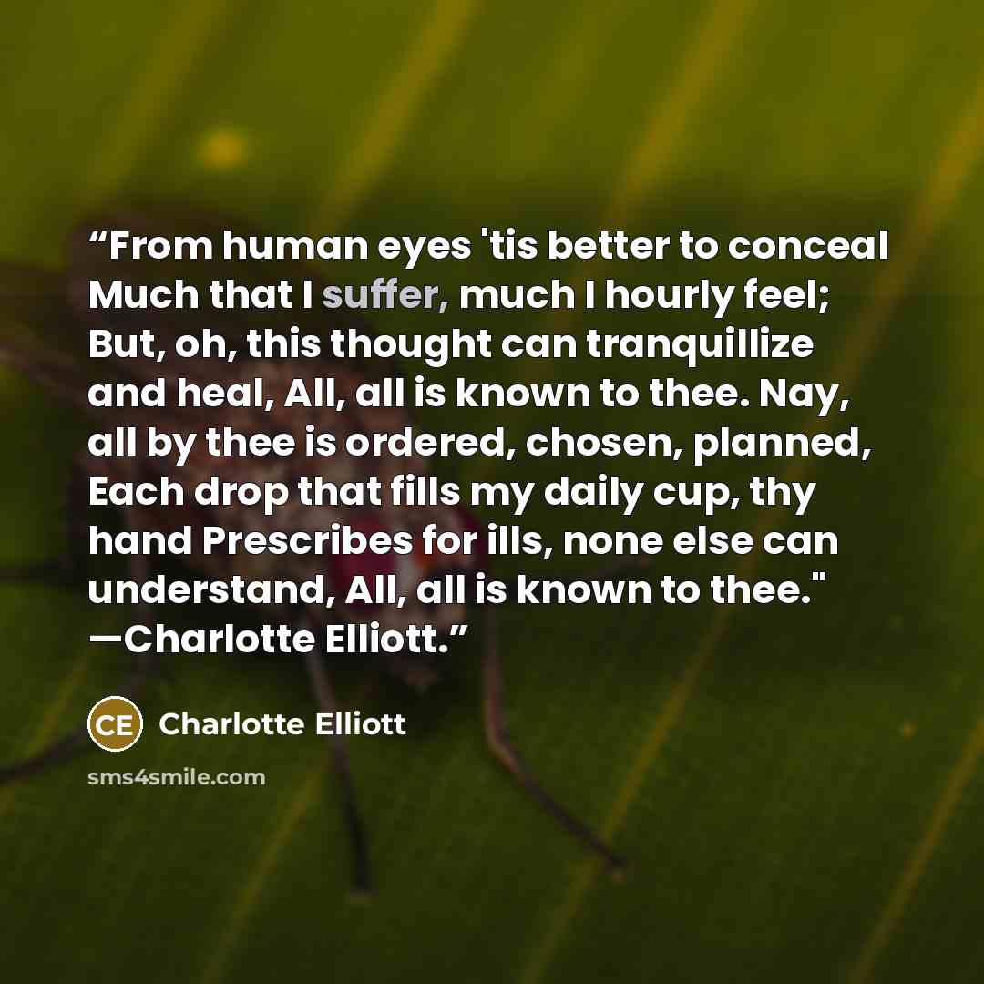 “From human eyes 'tis better to conceal Much that I suffer, much I hourly feel; But, oh, this thought can tranquillize and heal, All, all is known to thee. Nay, all by thee is ordered, chosen, planned, Each drop that fills my daily cup, thy hand Prescribes for ills, none else can understand, All…” quote by Charlotte Elliott
