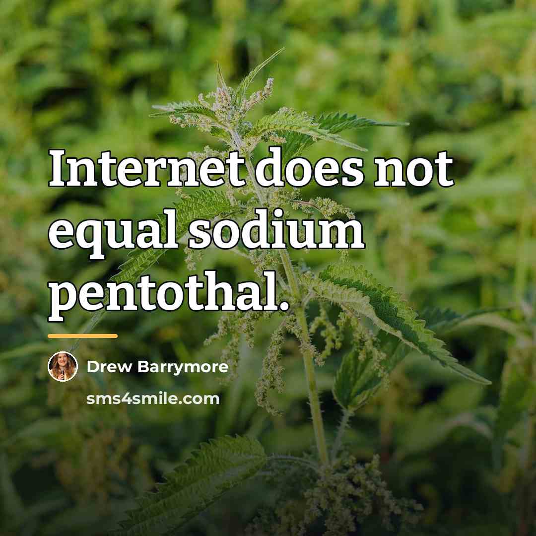 “Internet does not equal sodium pentothal.…” quote by Drew Barrymore