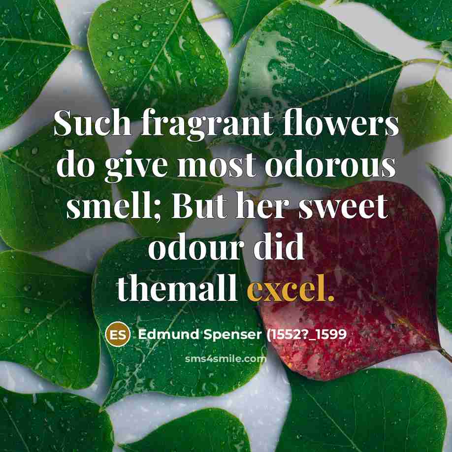 “Such fragrant flowers do give most odorous smell; But her sweet odour did themall excel.” quote by Edmund Spenser (1552?_1599