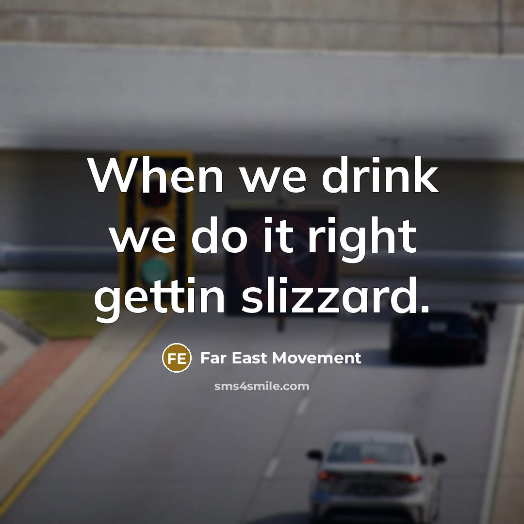 “When we drink we do it right gettin slizzard.” quote by Far East Movement