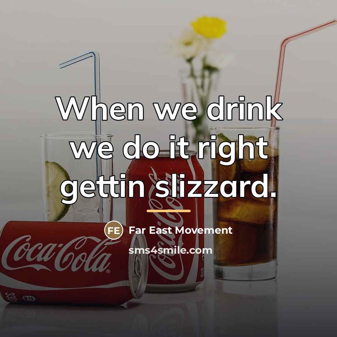 “When we drink we do it right gettin slizzard.…” quote by Far East Movement
