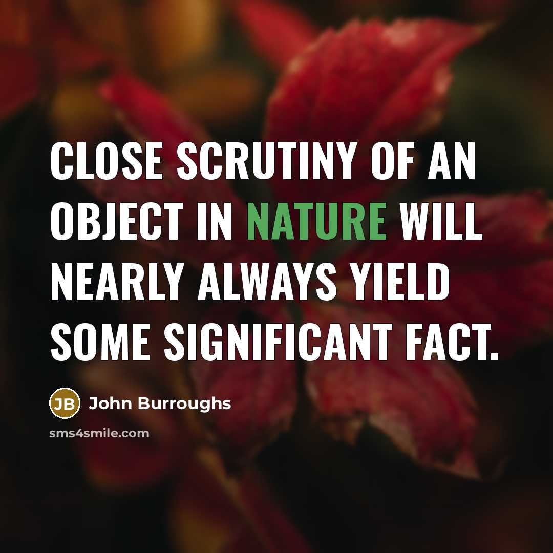 “Close scrutiny of an object in nature will nearly always…” quote by John Burroughs