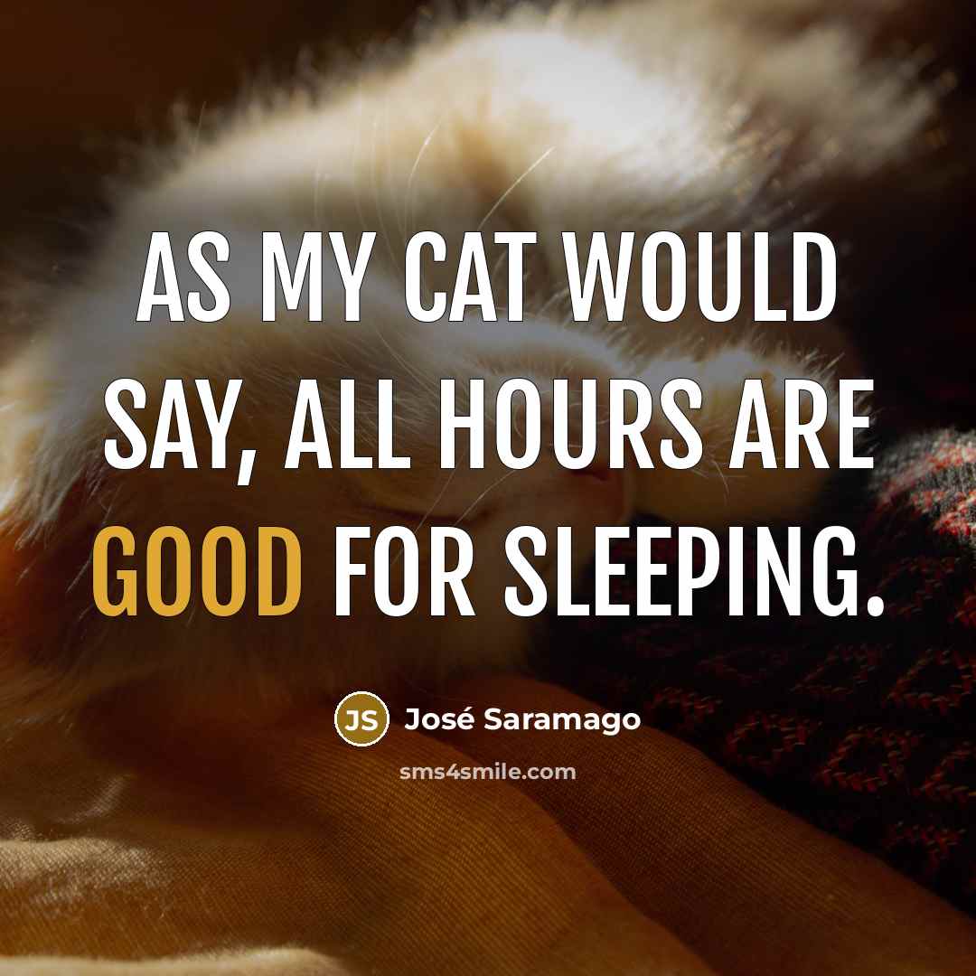 “As my cat would say, all hours are good for…” quote by Jose Saramago