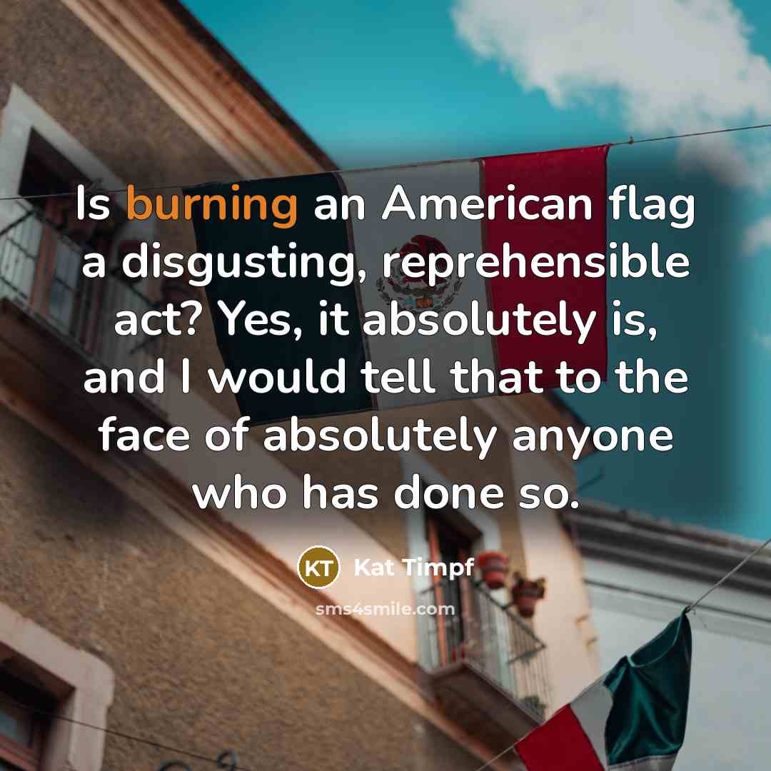 “Is burning an American flag a disgusting, reprehensible act? Yes,…” quote by Kat Timpf