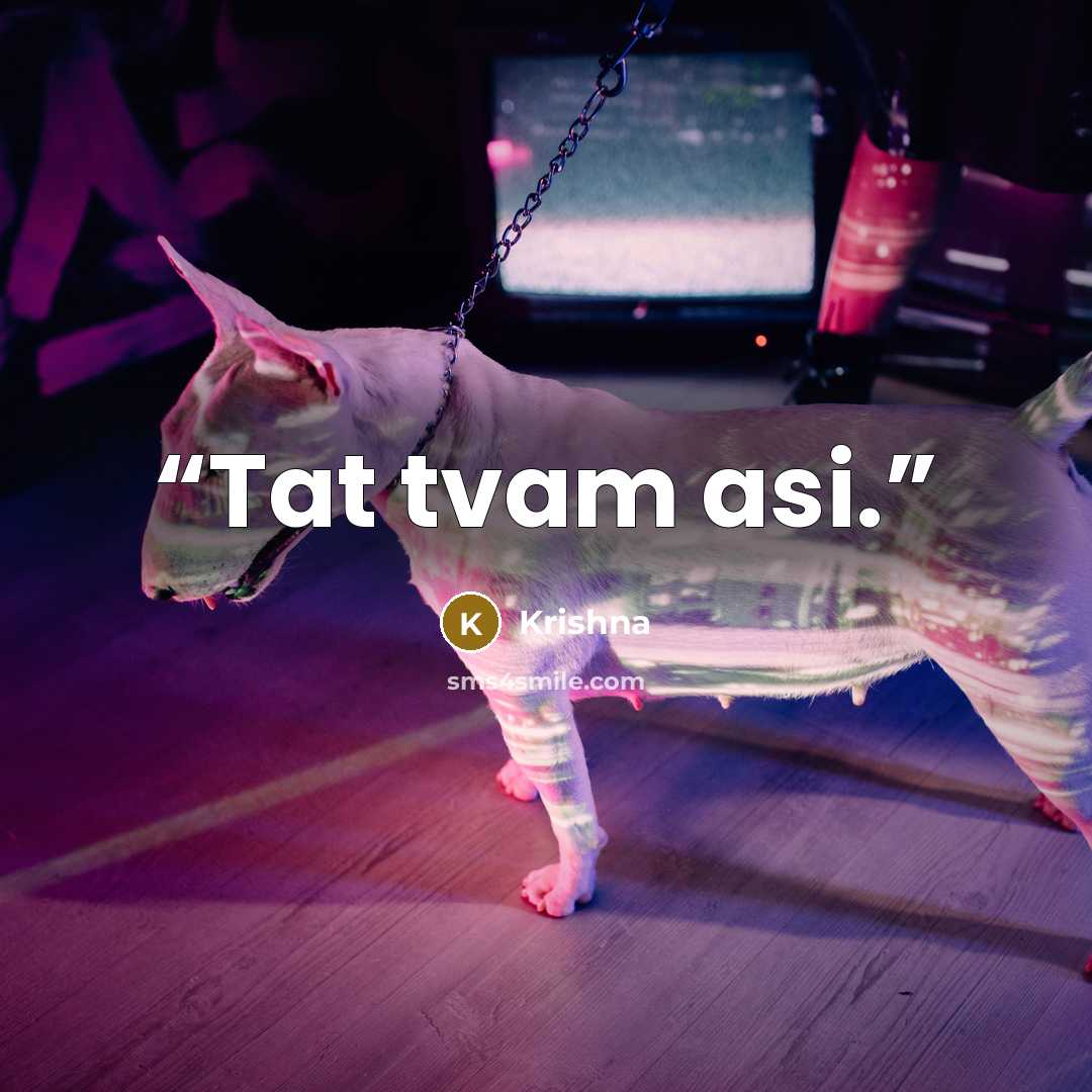 “Tat tvam asi.” quote by Krishna