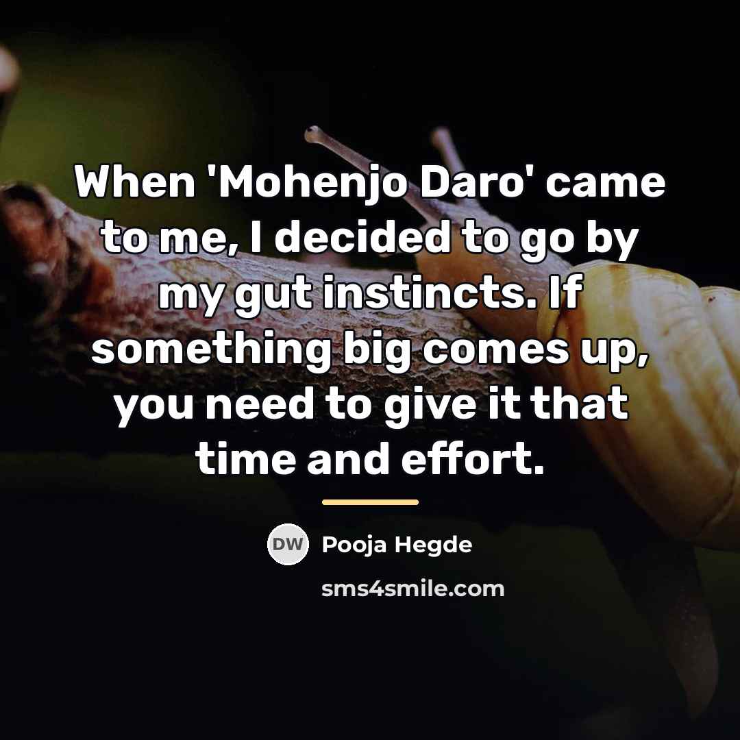 “When 'Mohenjo Daro' came to me, I decided to go…” quote by Pooja Hegde