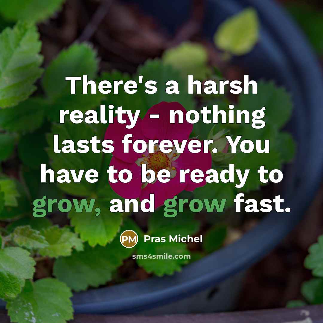 “There's a harsh reality - nothing lasts forever. You have…” quote by Pras Michel