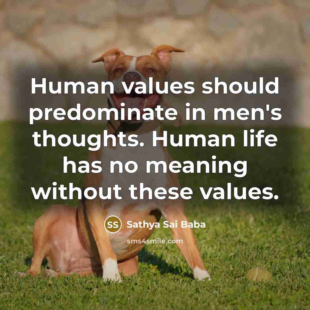 “Human values should predominate in men's thoughts. Human life has…” quote by Sathya Sai Baba