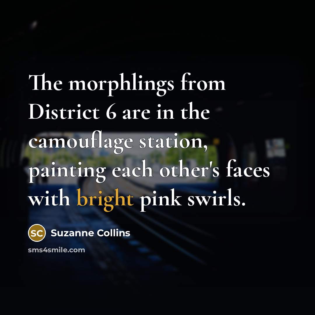 “The morphlings from District 6 are in the camouflage station,…” quote by Suzanne Collins