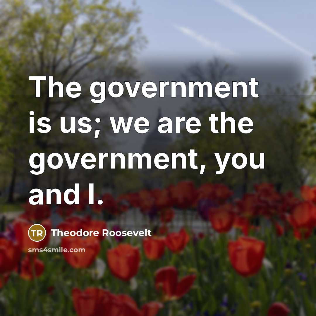 “The government is us; we are the government, you and…” quote by Theodore Roosevelt