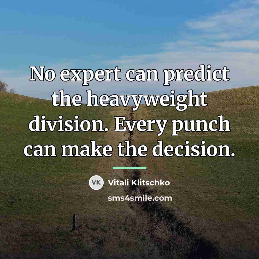 “No expert can predict the heavyweight division. Every punch can…” quote by Vitali Klitschko