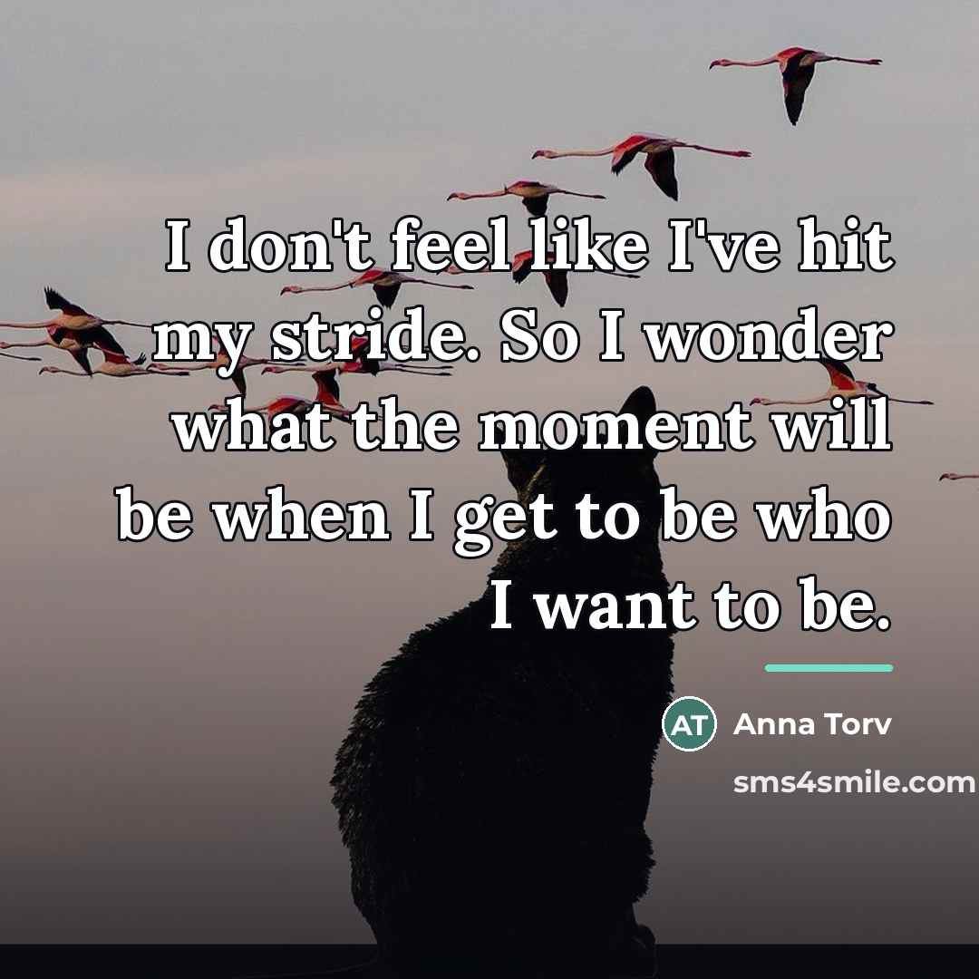 “I don't feel like I've hit my stride. So I…” quote by Anna Torv