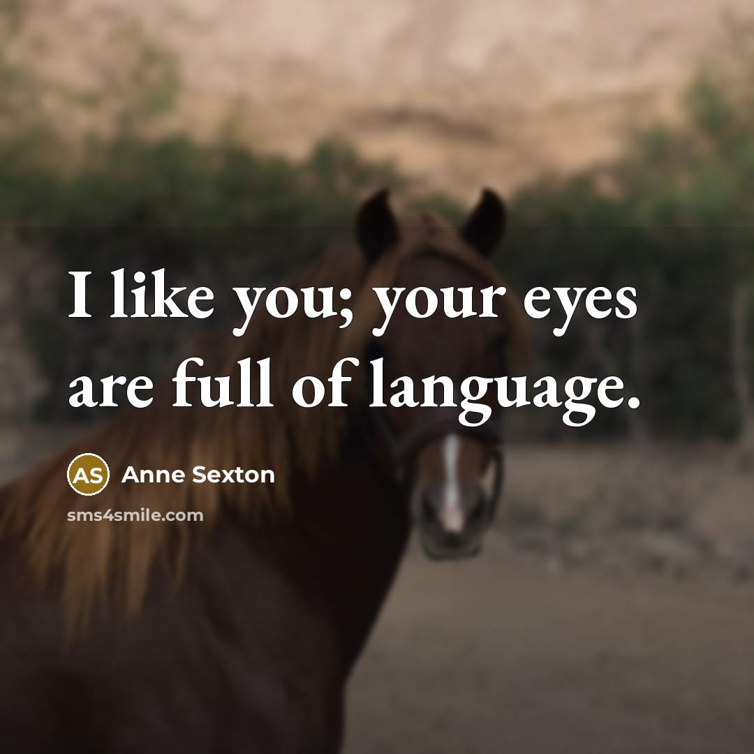 “I like you; your eyes are full of language.…” quote by Anne Sexton