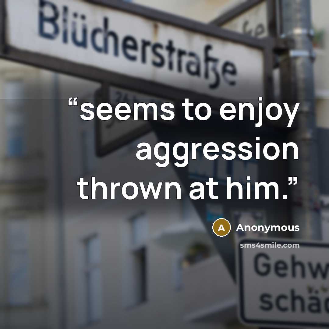 “seems to enjoy aggression thrown at him.” quote by Anonymous