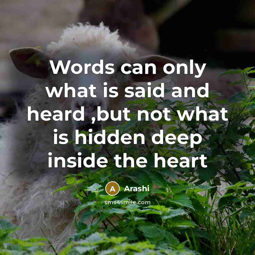 “Words can only what is said and heard ,but not…” quote by Arashi