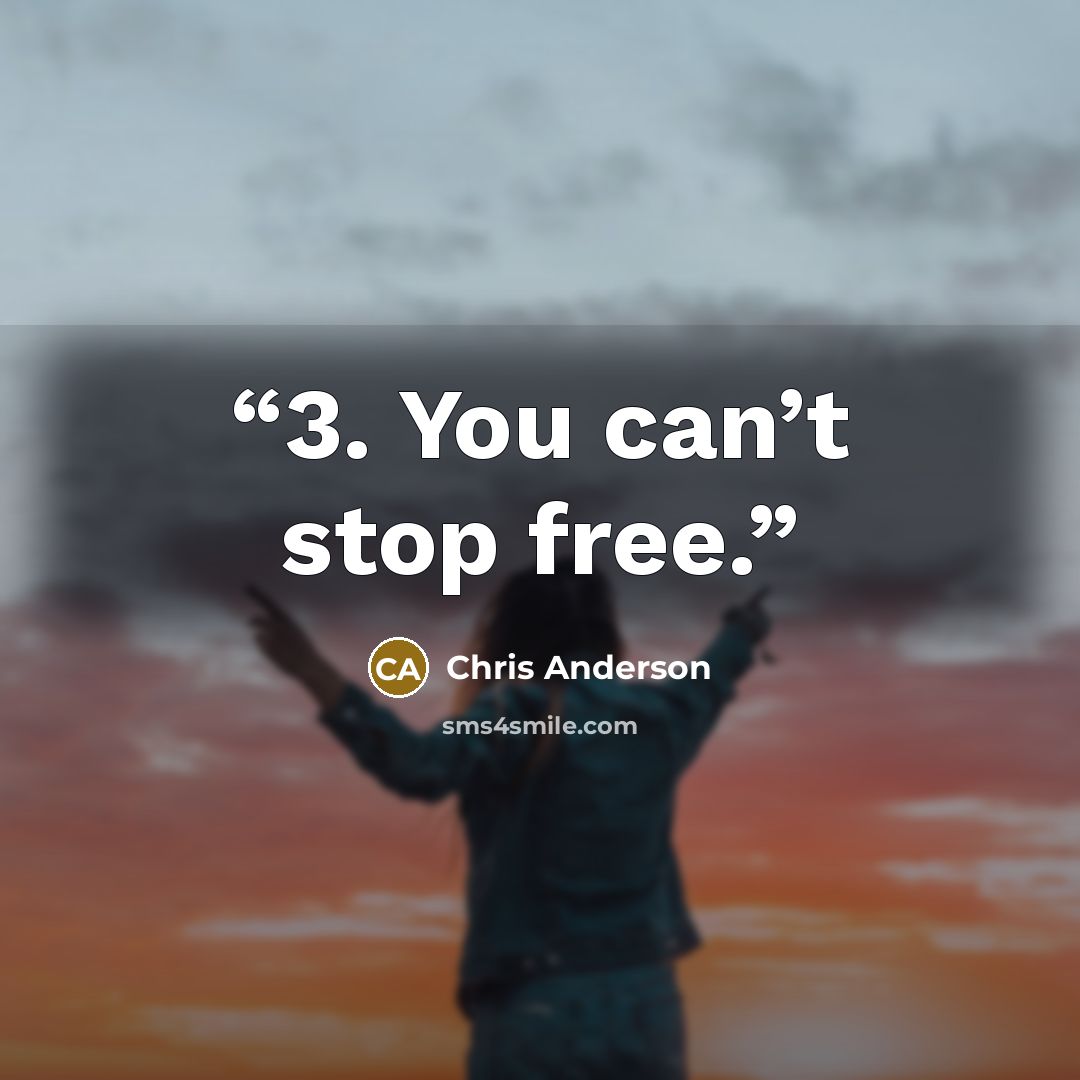 “3. You can’t stop free.” quote by Chris Anderson