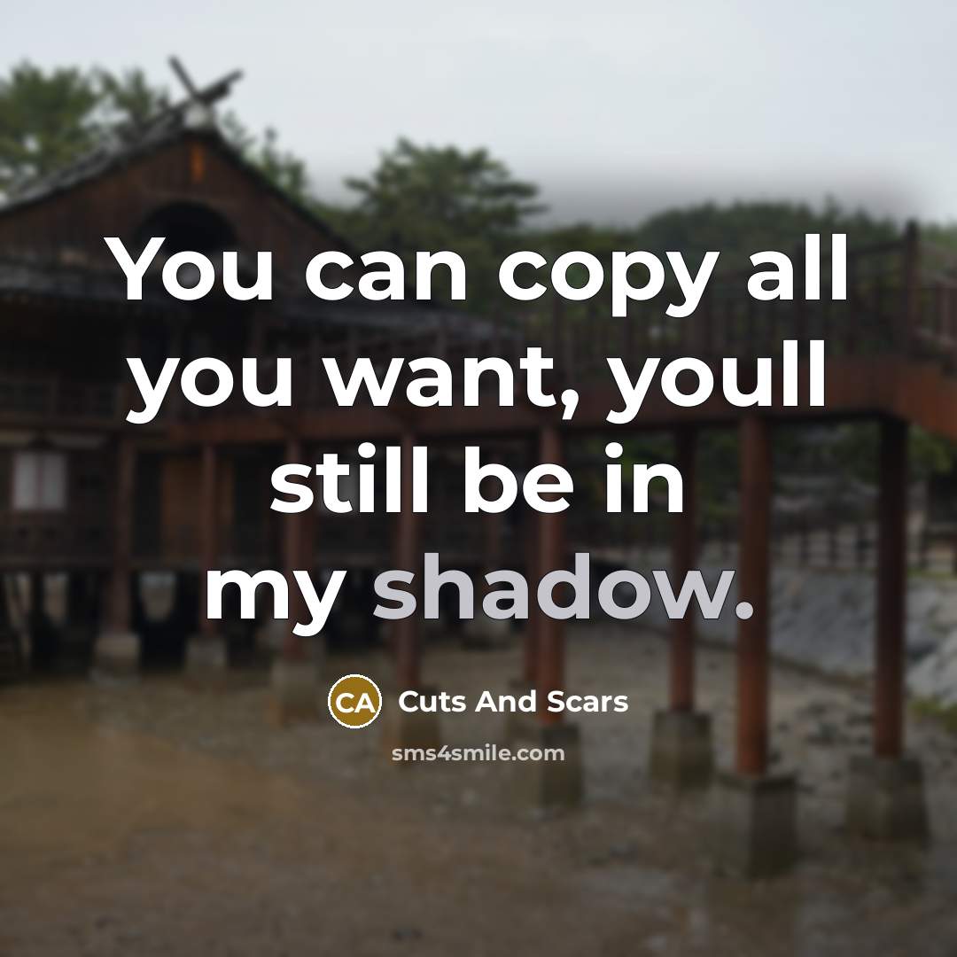 “You can copy all you want, youll still be in my shadow.” quote by Cuts And Scars