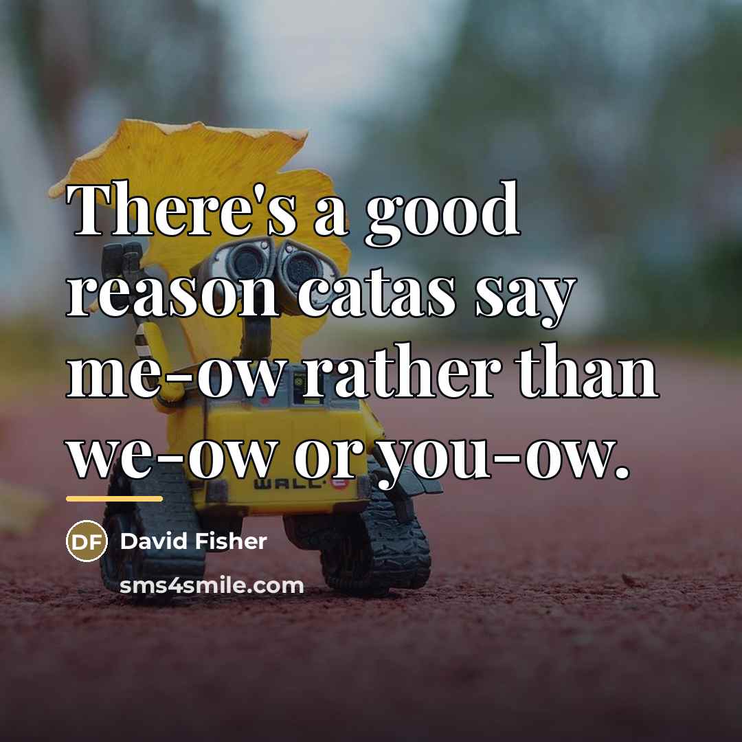 “There's a good reason catas say me-ow rather than we-ow…” quote by David Fisher