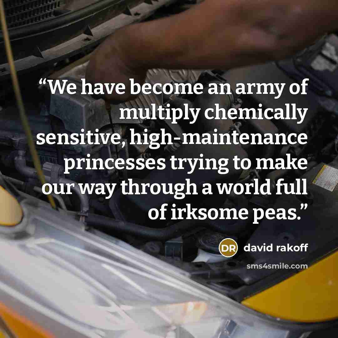 “We have become an army of multiply chemically sensitive, high-maintenance princesses trying to make our way through a world full of irksome peas.” quote by David Rakoff