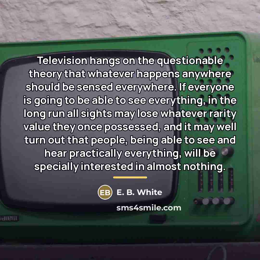 “Television hangs on the questionable theory that whatever happens anywhere…” quote by E. B. White
