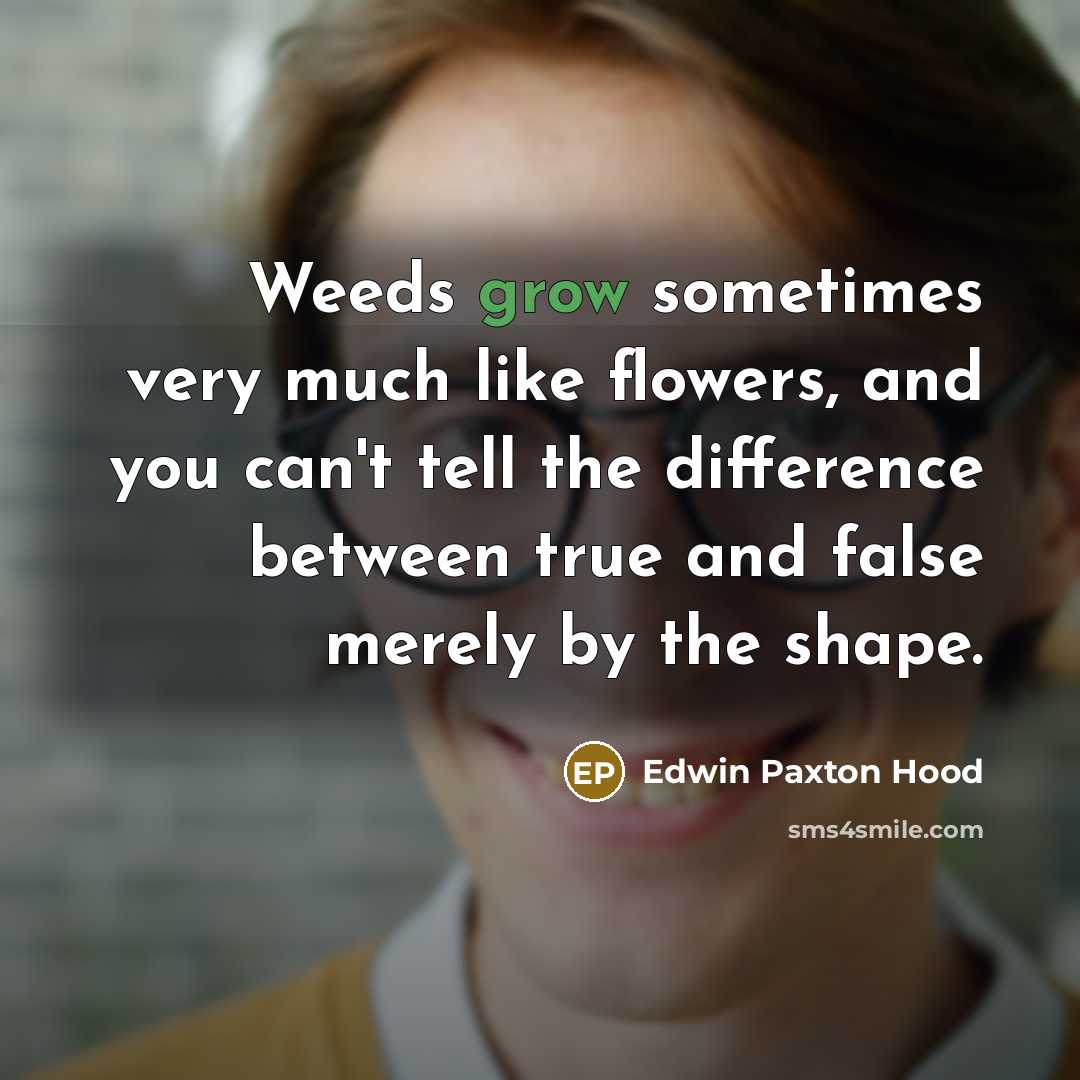 “Weeds grow sometimes very much like flowers, and you can't…” quote by Edwin Paxton Hood