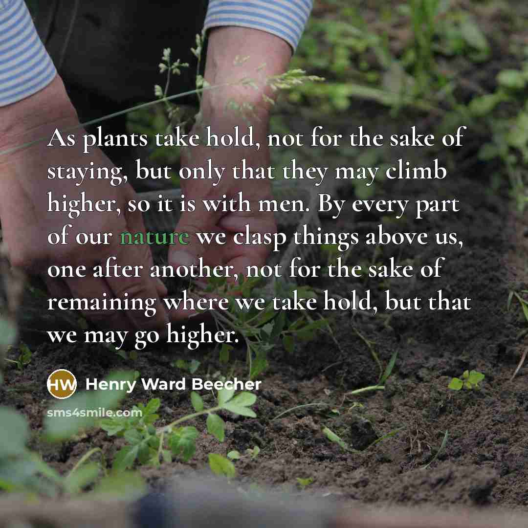 “As plants take hold, not for the sake of staying, but only that they may climb higher, so it is with men. By every part of our nature we clasp things above us, one after another, not for the sake of remaining where we take hold, but that we may go higher.” quote by Henry Ward Beecher