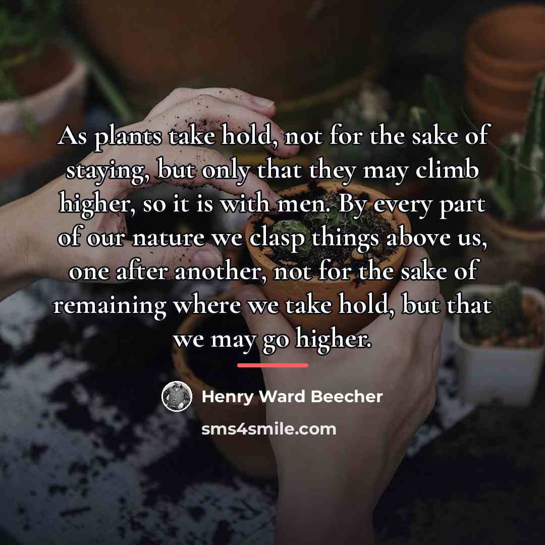 “As plants take hold, not for the sake of staying,…” quote by Henry Ward Beecher