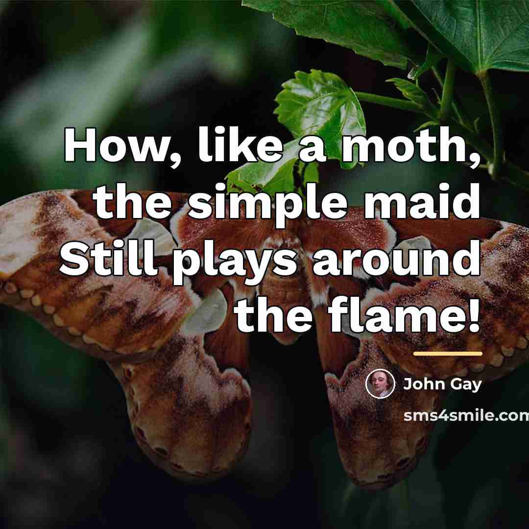 “How, like a moth, the simple maid Still plays around…” quote by John Gay