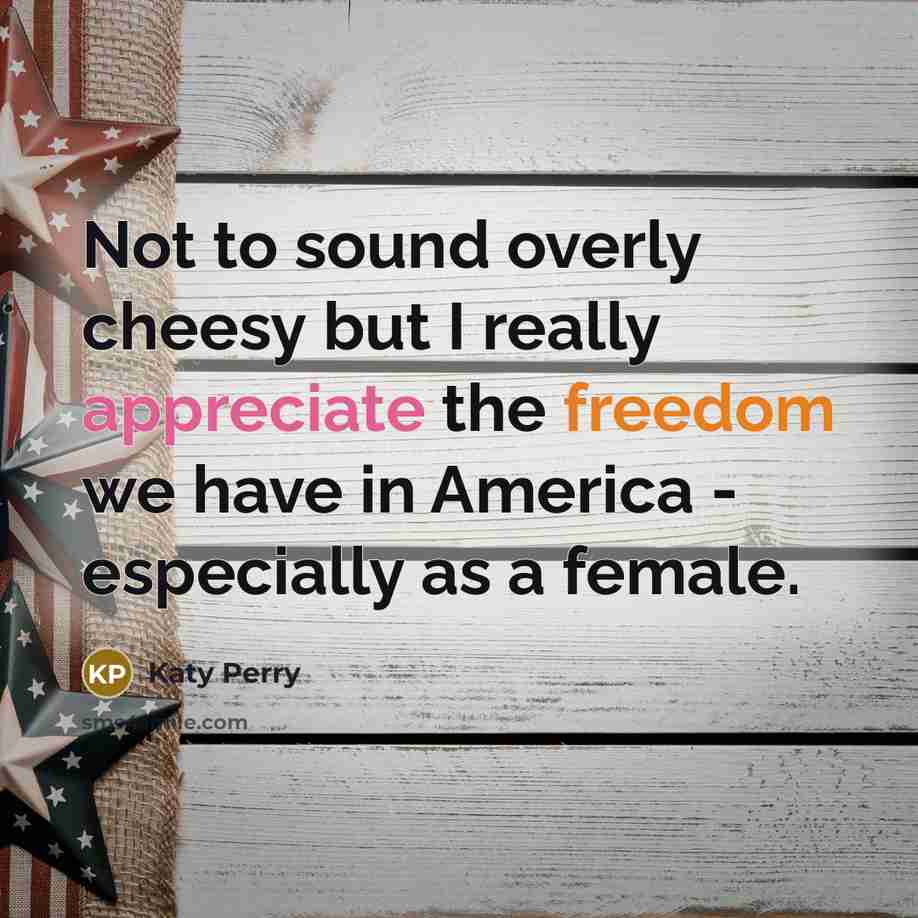 “Not to sound overly cheesy but I really appreciate the…” quote by Katy Perry