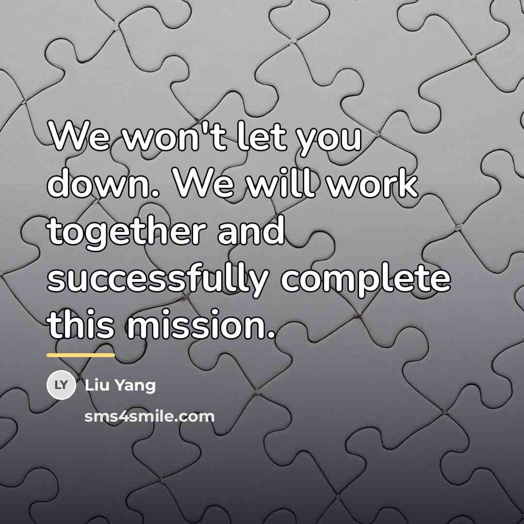 “We won't let you down. We will work together and…” quote by Liu Yang