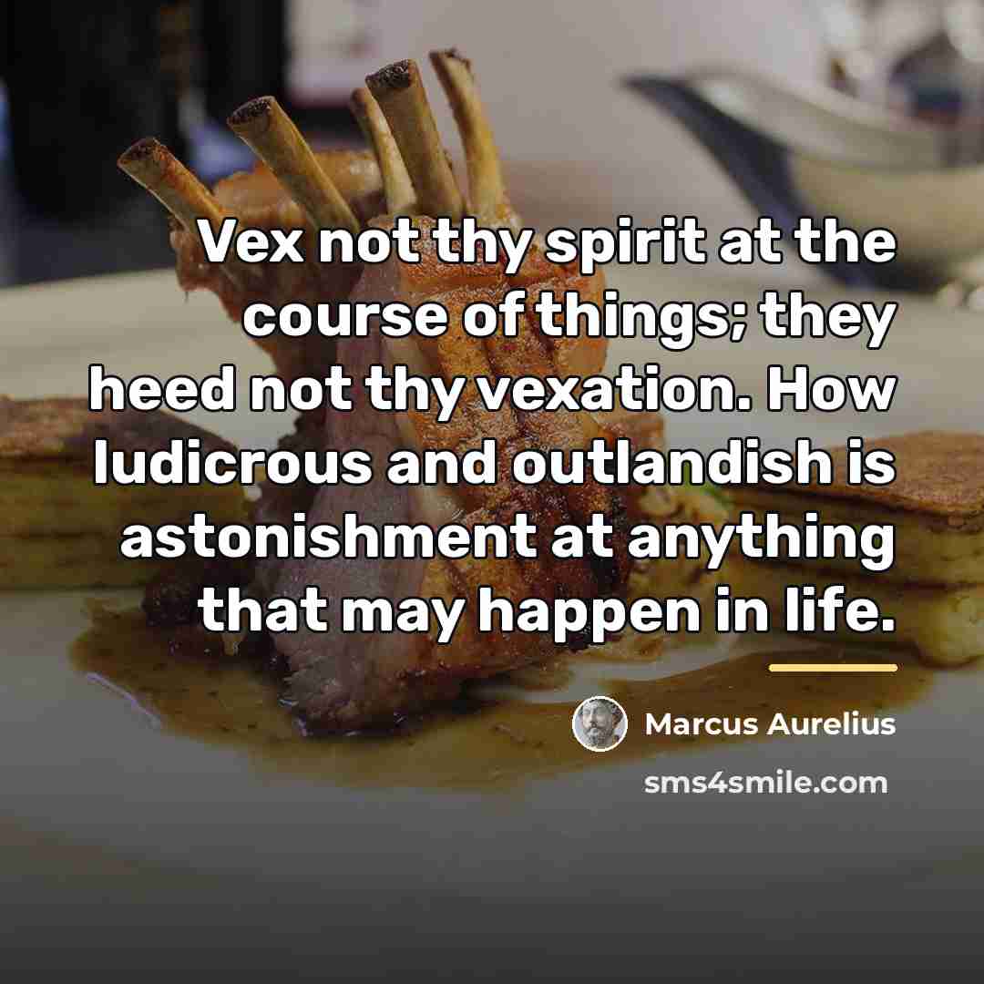“Vex not thy spirit at the course of things; they…” quote by Marcus Aurelius