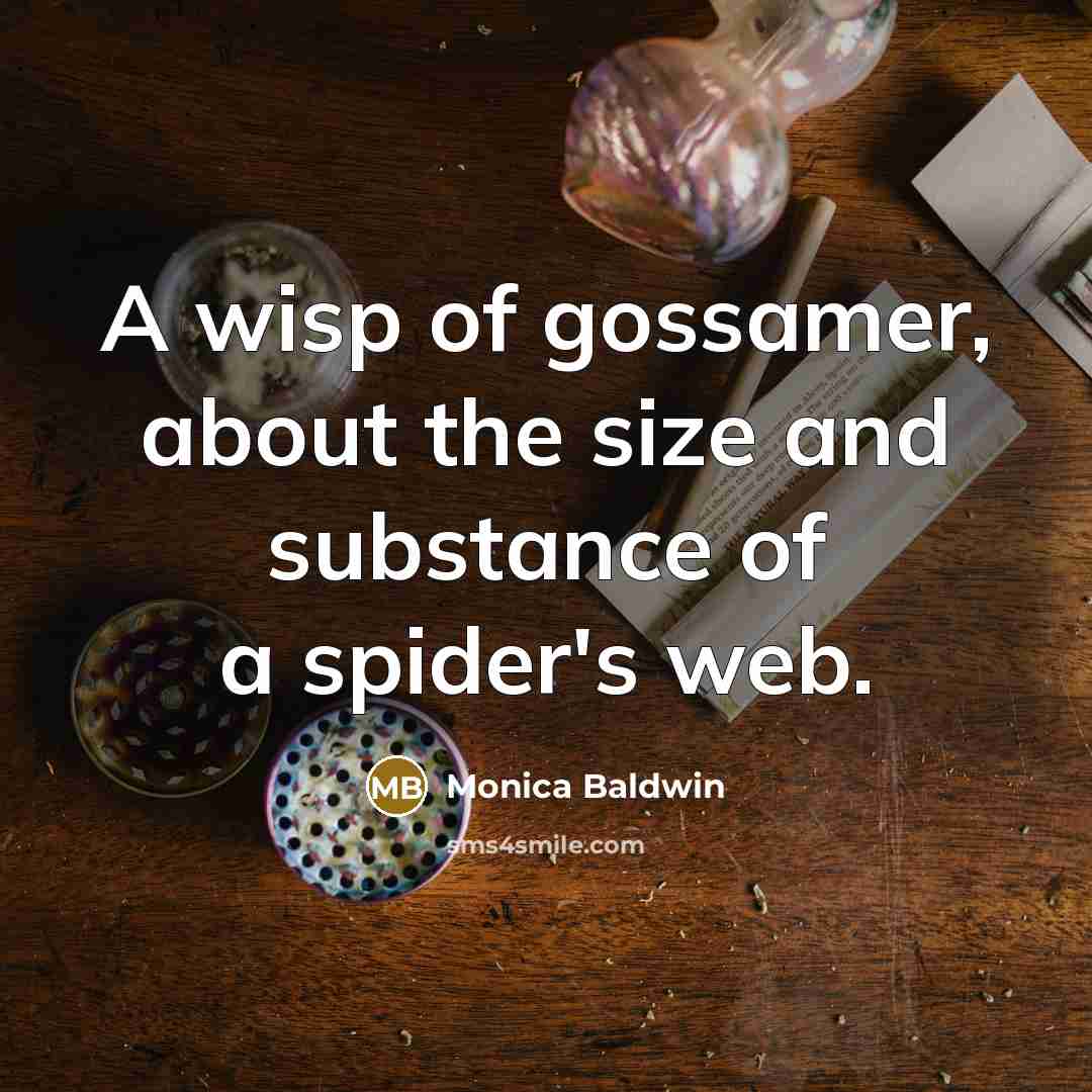 “A wisp of gossamer, about the size and substance of a spider's web.” quote by Monica Baldwin