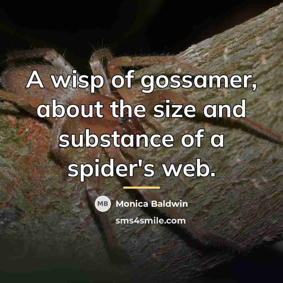 “A wisp of gossamer, about the size and substance of…” quote by Monica Baldwin