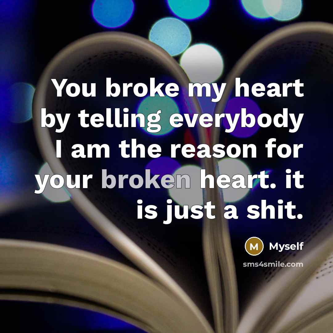 “You broke my heart by telling everybody I am the reason for your broken heart. it is just a shit.” quote by Myself