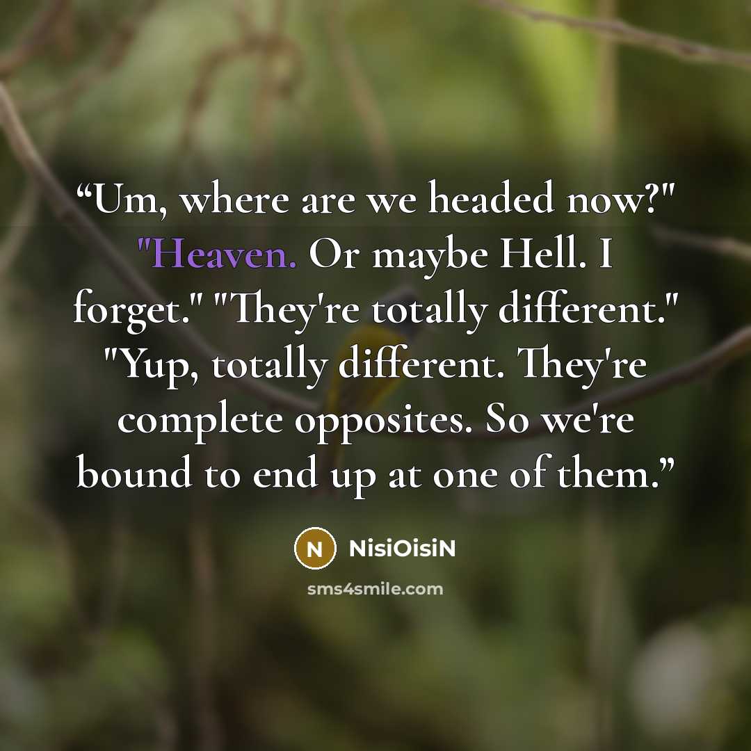 “Um, where are we headed now?" "Heaven. Or maybe Hell. I forget." "They're totally different." "Yup, totally different. They're complete opposites. So we're bound to end up at one of them.” quote by NisiOisiN