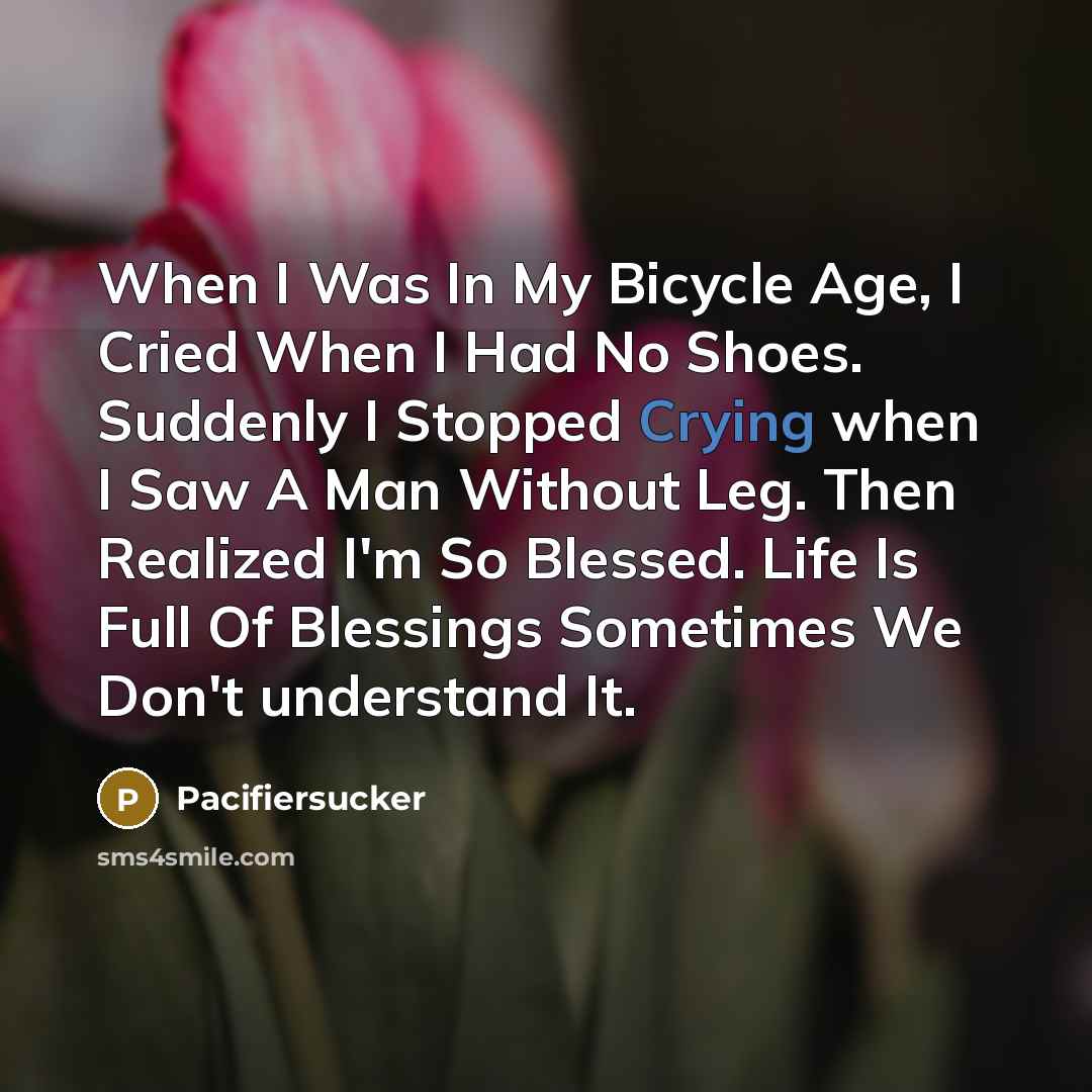 “When I Was In My Bicycle Age, I Cried When…” quote by Pacifiersucker